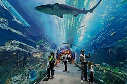 Underwater World Pattaya.